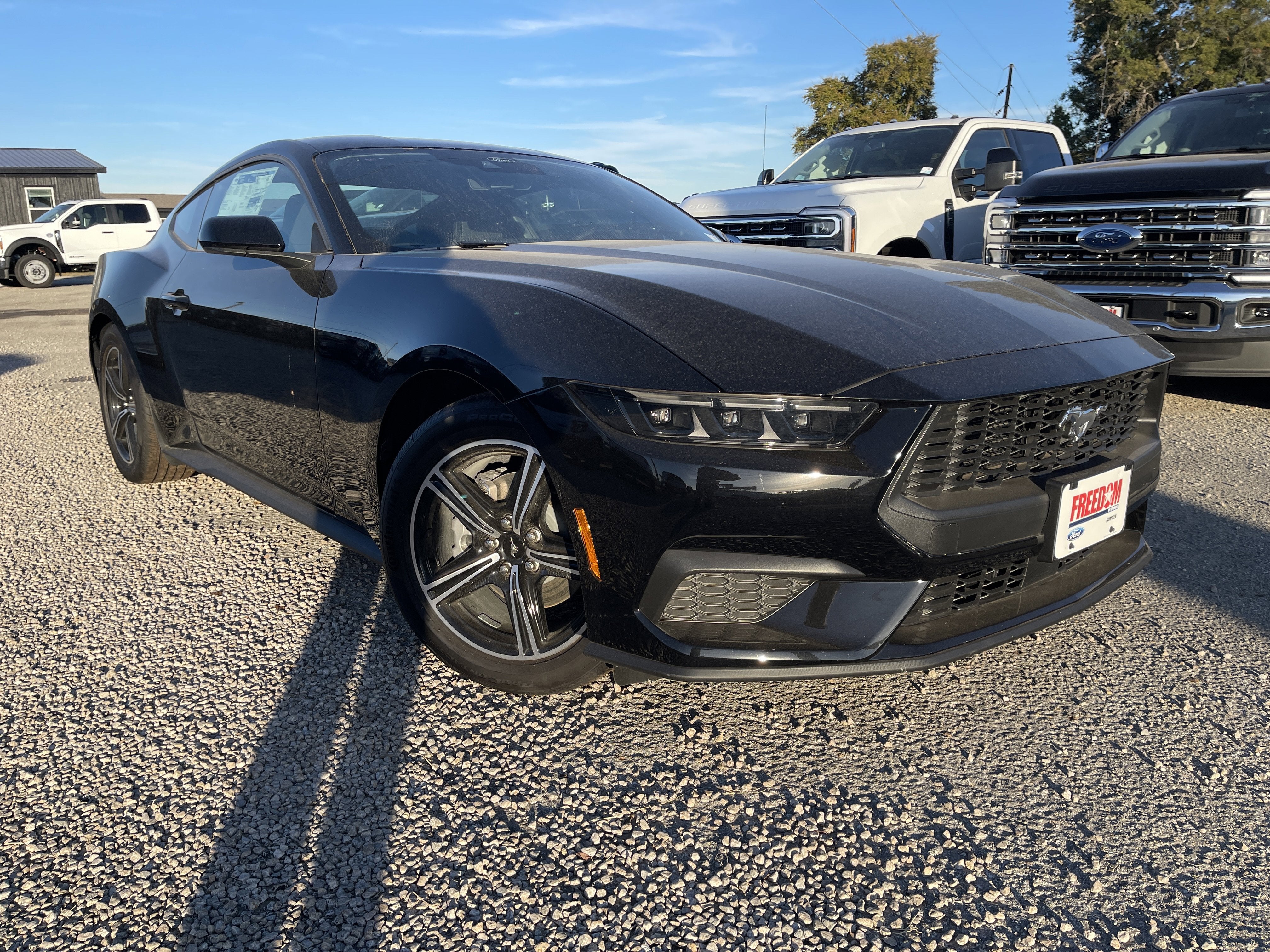 2025 Ford Mustang EcoBoost