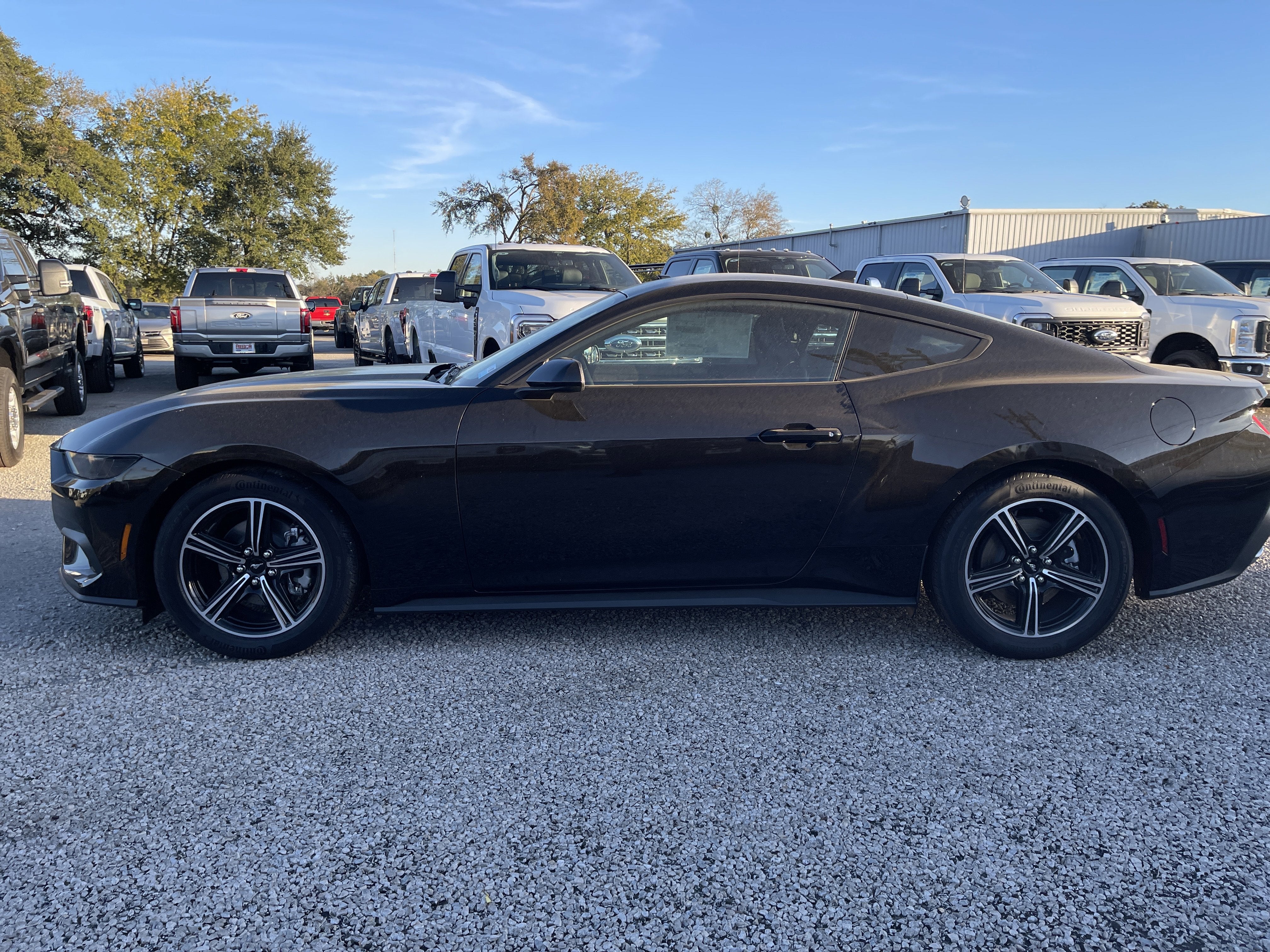 2025 Ford Mustang EcoBoost