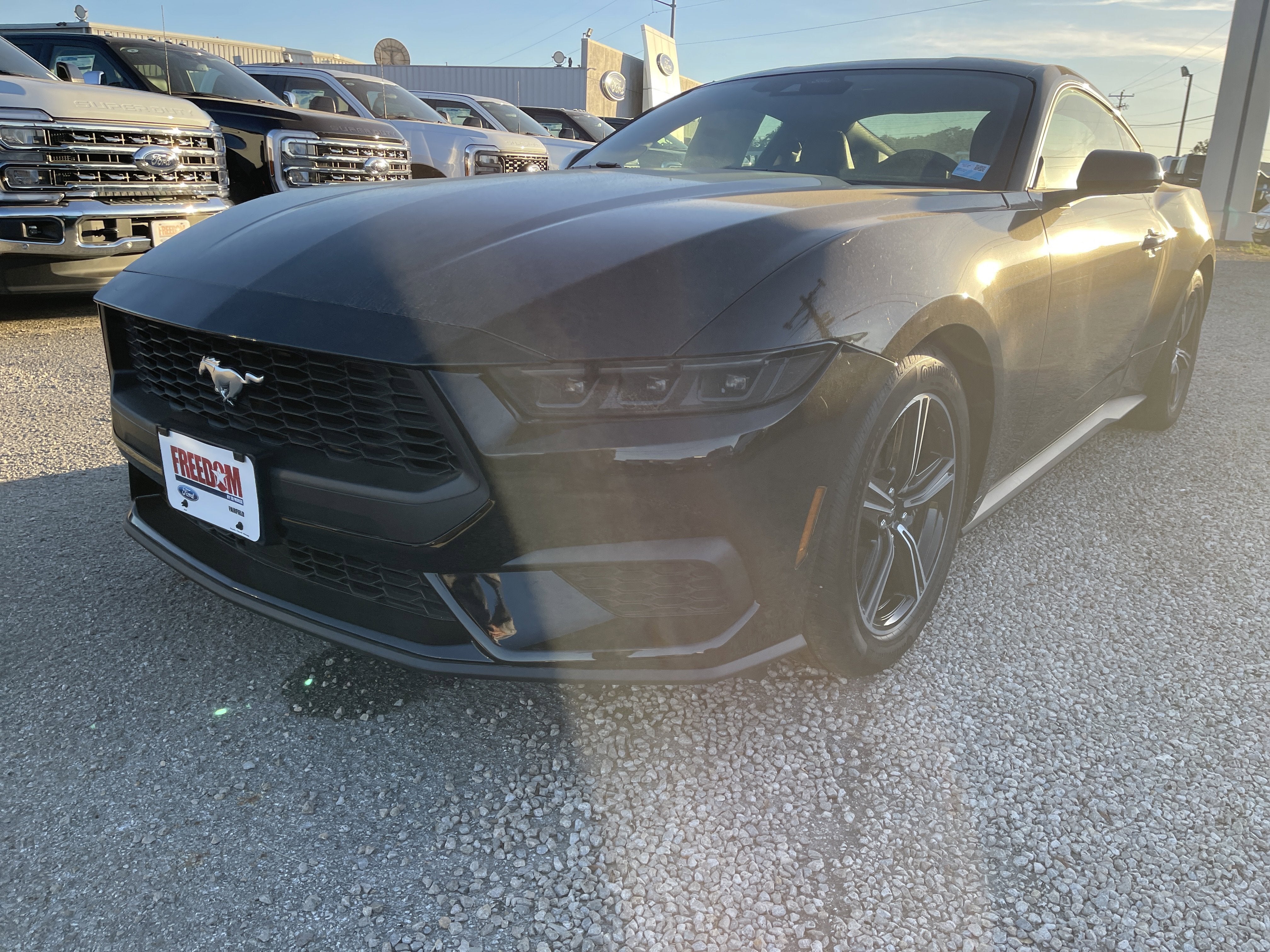 2025 Ford Mustang EcoBoost