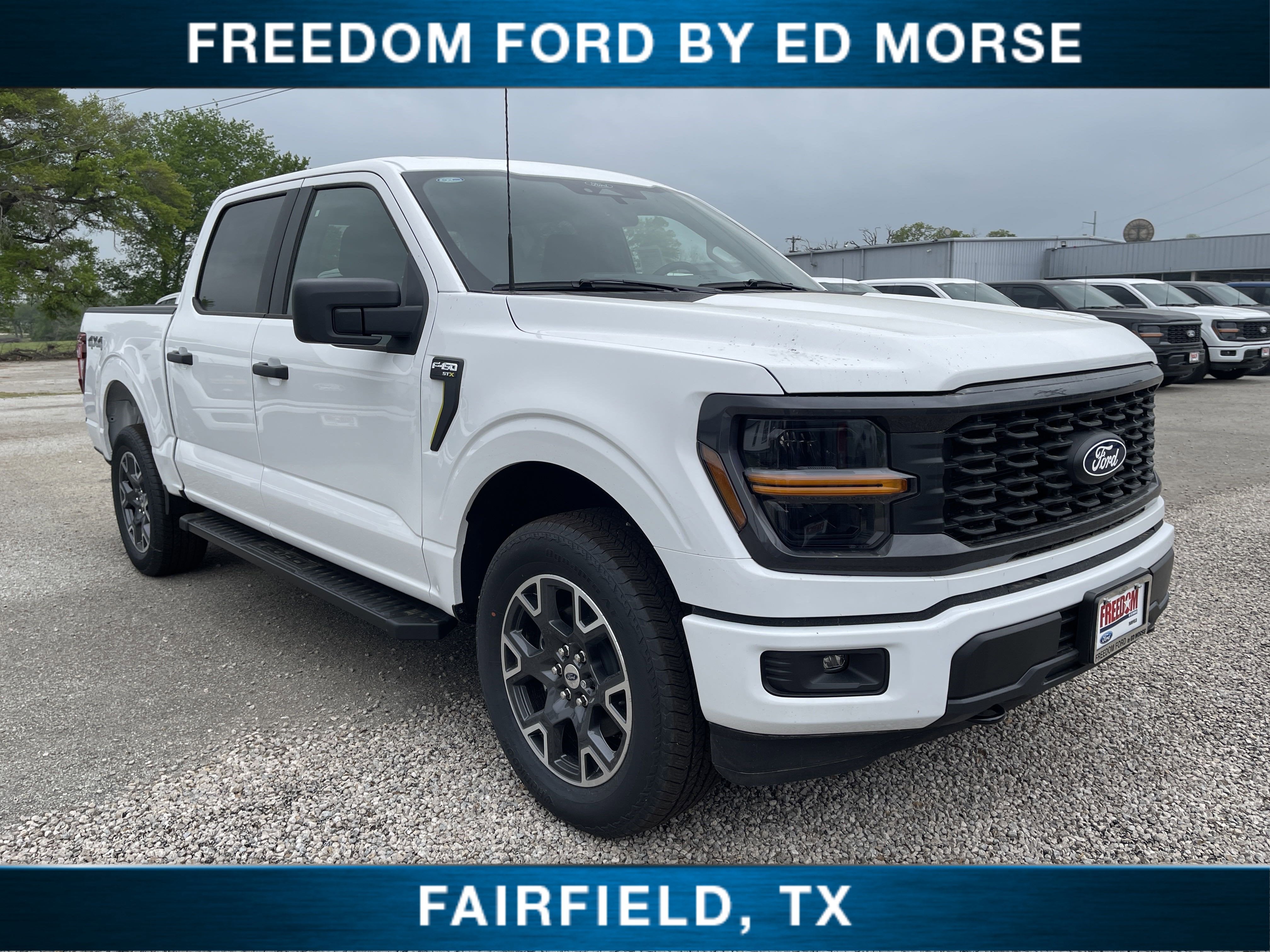 2025 Ford F-150 STX