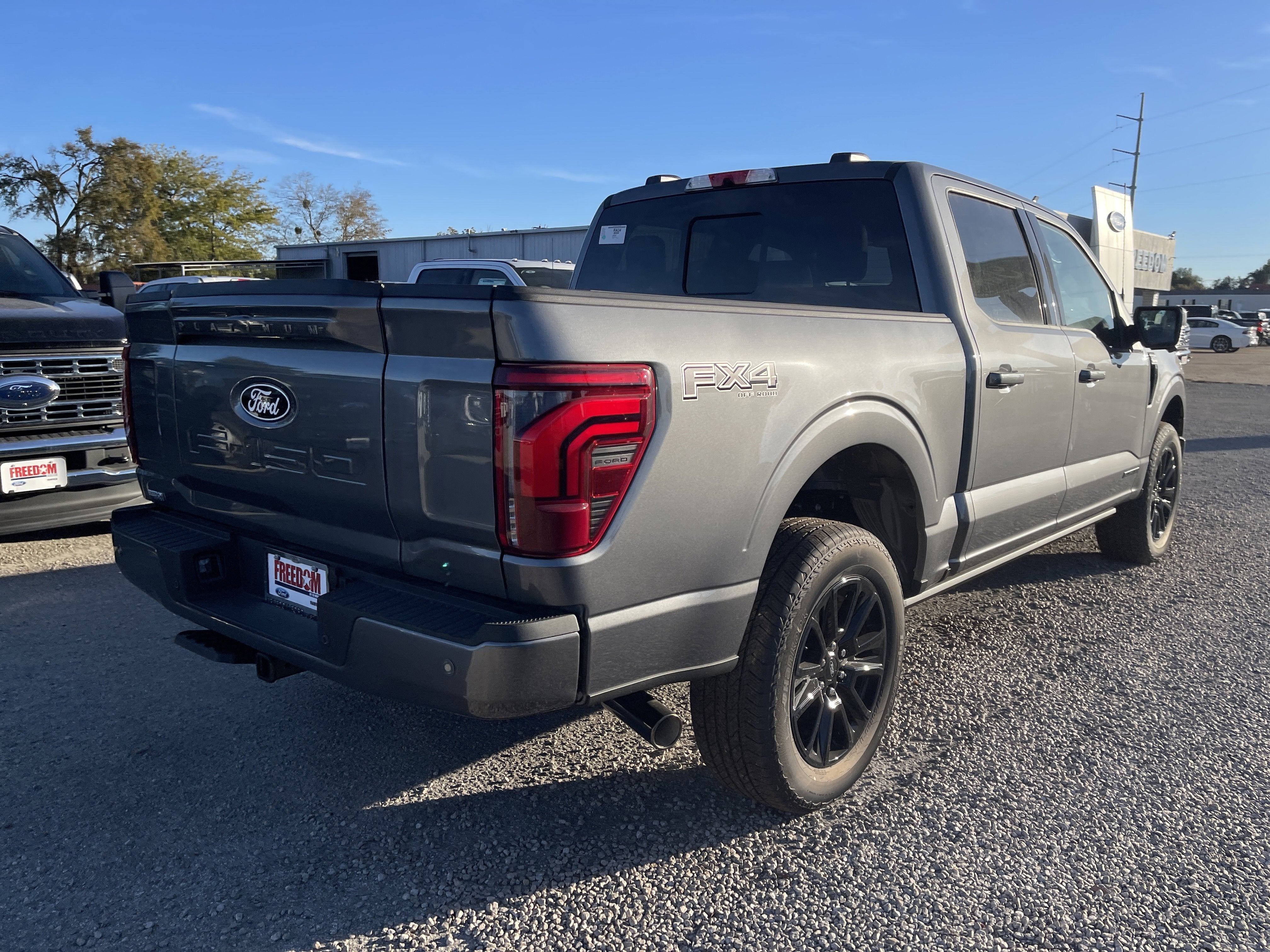 2025 Ford F-150 Platinum