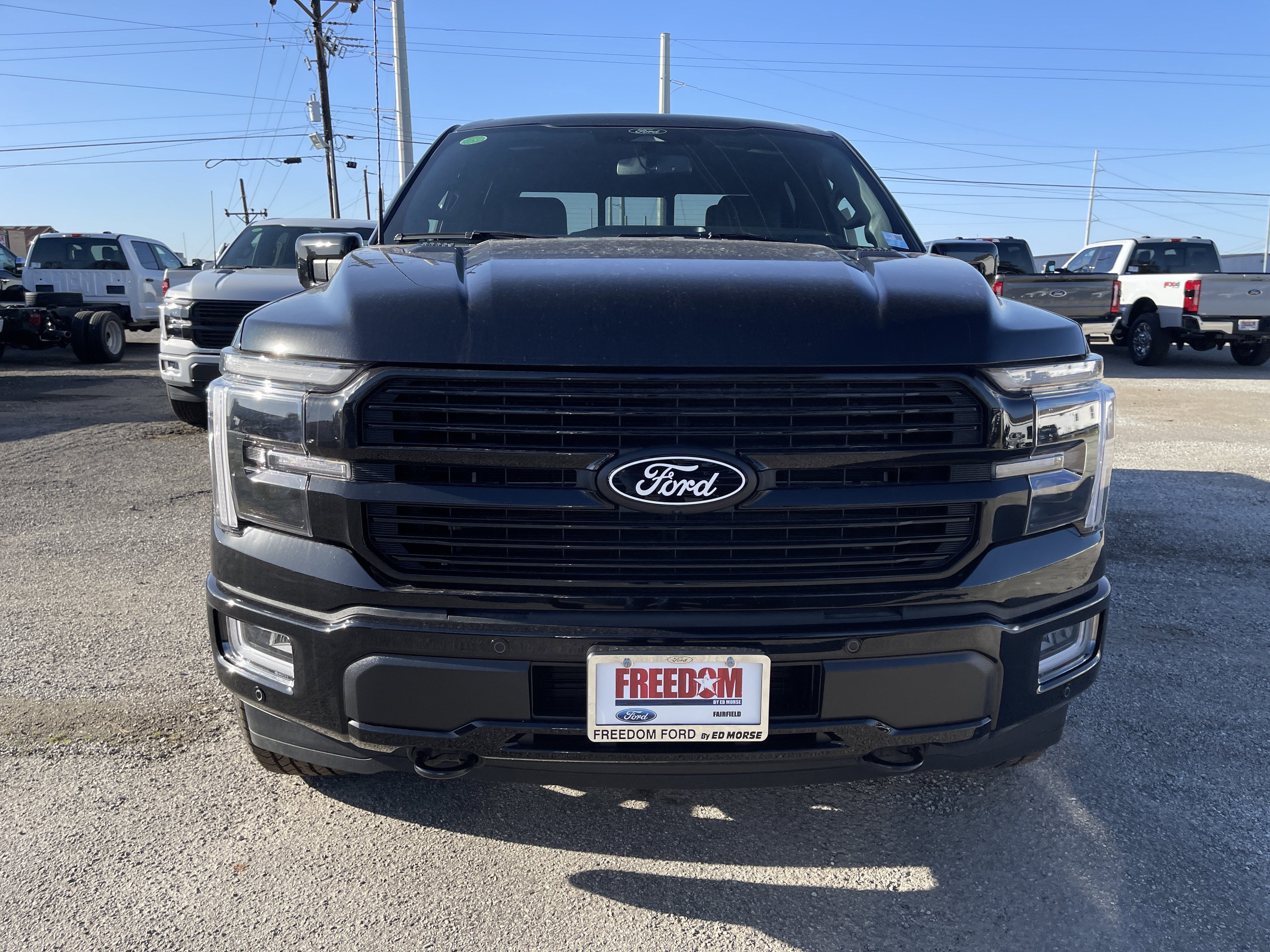 2025 Ford F-150 Platinum