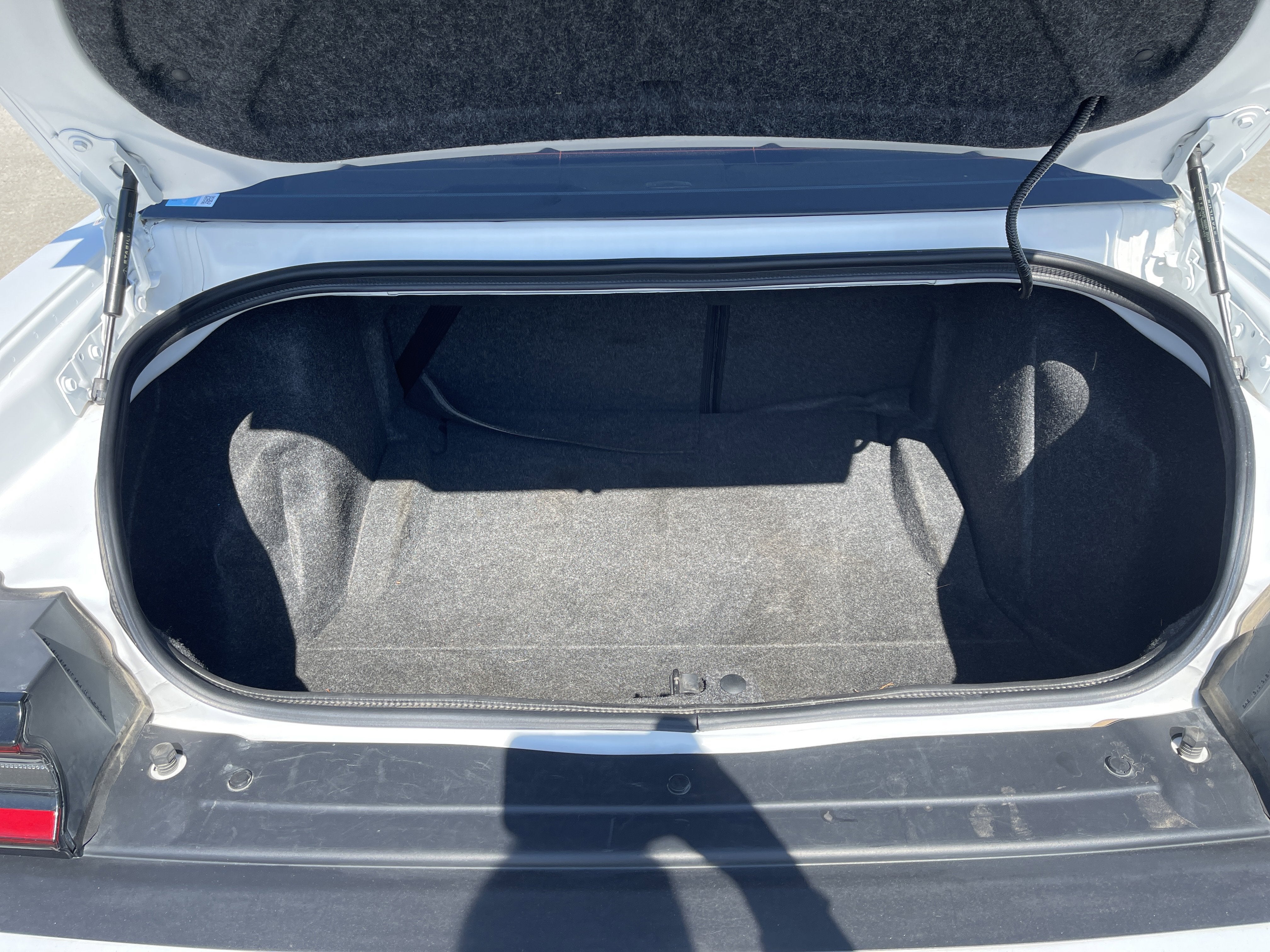 2020 Dodge Challenger R/T